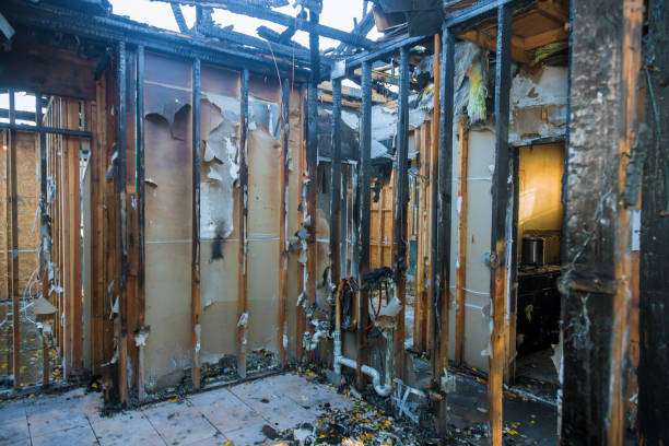Professional Fire Damage Removal technician working in Cohasset, MN